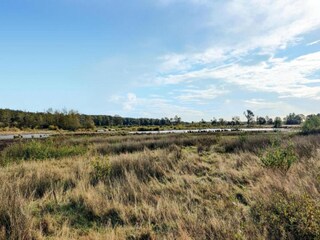Parc de vacances Dwingeloo Environnement 21