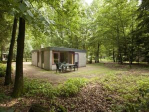 Holiday park Tidy bungalow with fireplace located in the Veluwe - Epe - image1