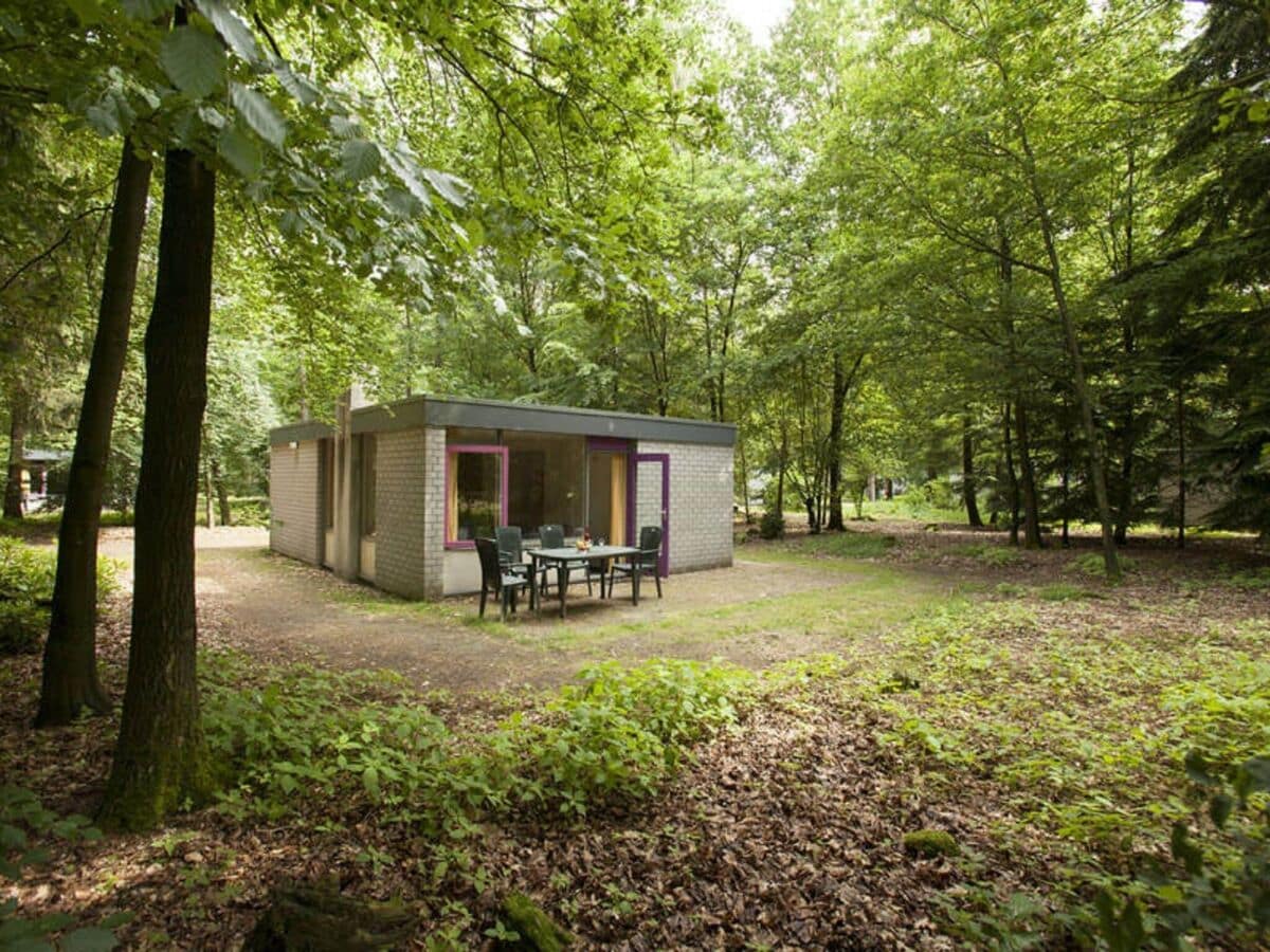 Parque de vacaciones Epe Grabación al aire libre 1