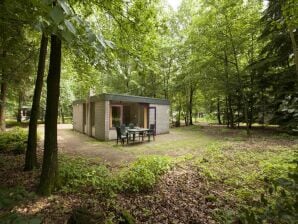 Holiday park Gepflegter Bungalow in der Nהhe der Veluwe - Epe - image1