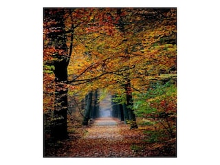 Vakantiepark Epe Omgeving 29