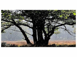 Holiday park Epe Environment 31