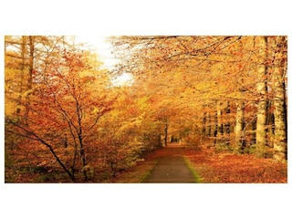 Ferienpark Epe Umgebung 32