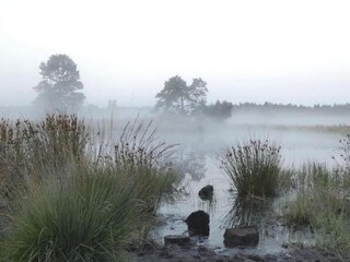 Parc de vacances Epe Environnement 33