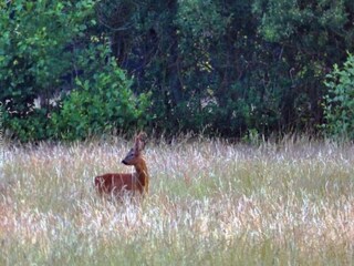 Parc de vacances Epe Environnement 16