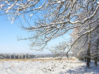 Vakantiepark Epe Omgeving 27