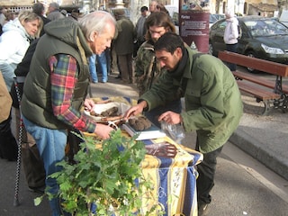 Der berühmte Trüffelmarkt im Nachbarort Aups