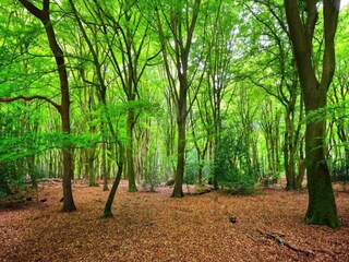 Parc de vacances Epe Environnement 16