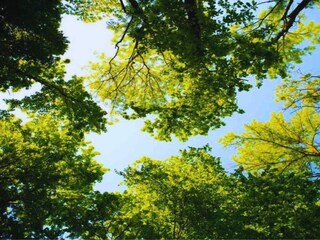 Parco vacanze Epe Ambiente 17