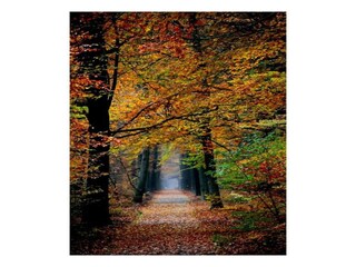 Parc de vacances Epe Environnement 21