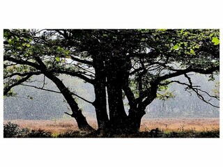 Parc de vacances Epe Environnement 23