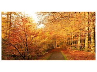 Parc de vacances Epe Environnement 24