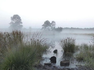 Vakantiepark Epe Omgeving 25