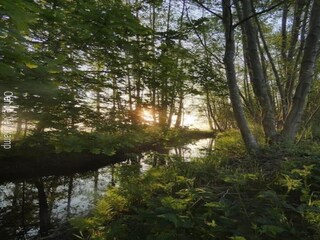 Parco vacanze Epe Ambiente 27