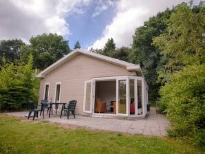 Vakantiepark Ruim chalet met twee badkamers, in de natuur - Appelscha - image1