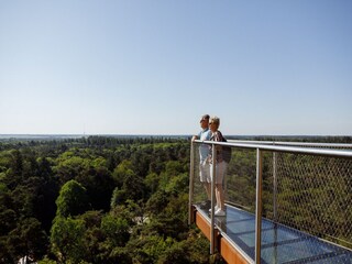 Vakantiepark Appelscha Omgeving 16