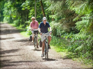 Ferienpark Appelscha Umgebung 12