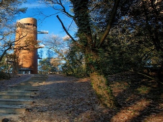 Ferienpark Appelscha Umgebung 18