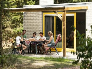 Ferienpark Moderner Bungalow mit überdachter Terrasse, in Appelscha - Appelscha - image1