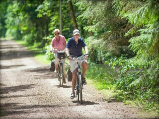 Vakantiepark Appelscha Omgeving 24