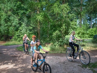Vakantiepark Appelscha Omgeving 25