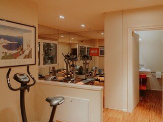 Villa San Felice del Benaco  63