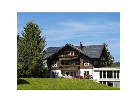 Apartment/1 Schlafraum/Dusche, WC, Top 3