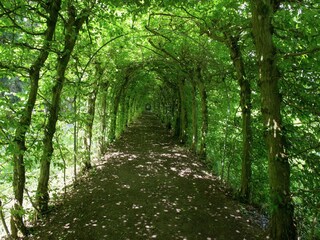 Casa per le vacanze Spa Ambiente 30