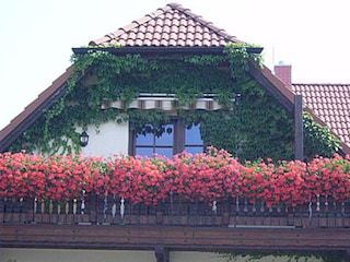 Willkommen in unserer Ferienwohnung