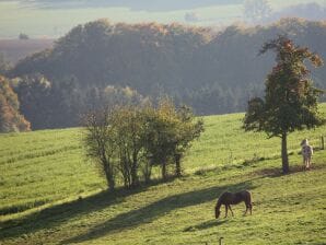 Apartment Gutshaus De La Fontaine