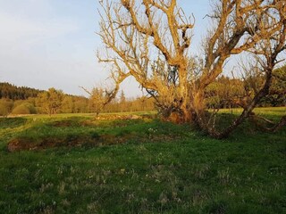 Vakantiehuis Truust  21