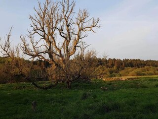 Vakantiehuis Truust  22