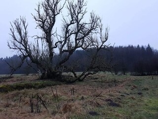 Vakantiehuis Truust  9