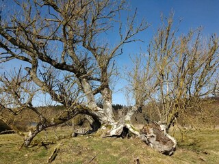 Vakantiehuis Truust  32