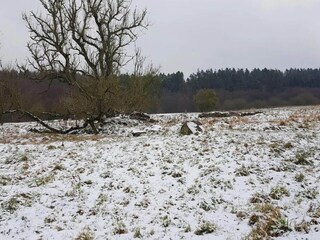 Vakantiehuis Truust  41
