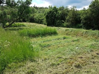 Vakantiehuis Truust  36
