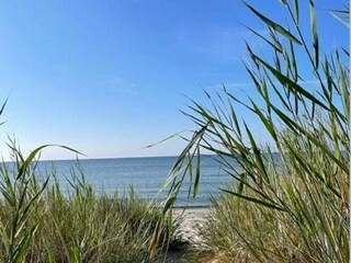 Ferienhaus Löttorp  15