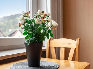 Apartamento Bollendorf  39