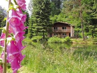 Appartement Dabo Buitenaudio-opname 4