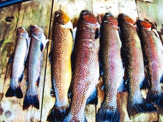 Appartamento Dabo Ambiente 23