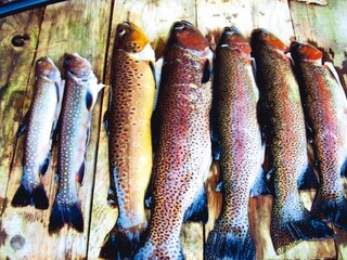 Appartement Dabo Omgeving 23