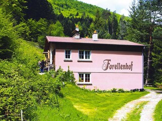 Appartement Dabo Buitenaudio-opname 12