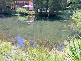 Apartment Dabo Außenaufnahme 13