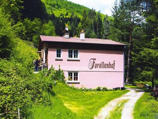 Apartamento Dabo Entorno 1