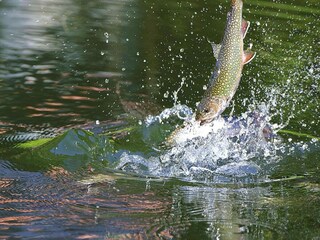 Apartamento Dabo Entorno 23