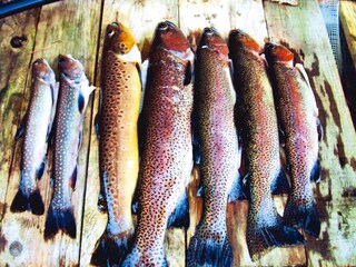 Apartamento Dabo  25