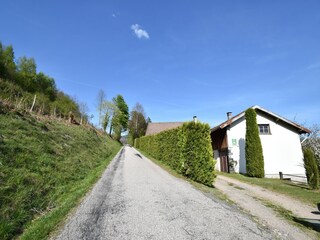 Holiday house Saulxures-sur-Moselotte Environment 19