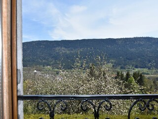 Casa de vacaciones Saulxures-sur-Moselotte Grabación al aire libre 5