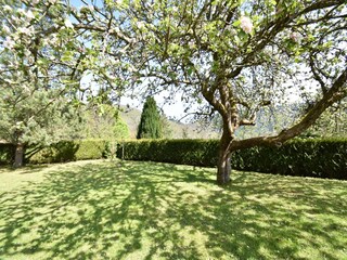 Casa de vacaciones Saulxures-sur-Moselotte Grabación al aire libre 6