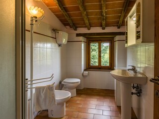 Villa Caprese Michelangelo Caratteristiche 17